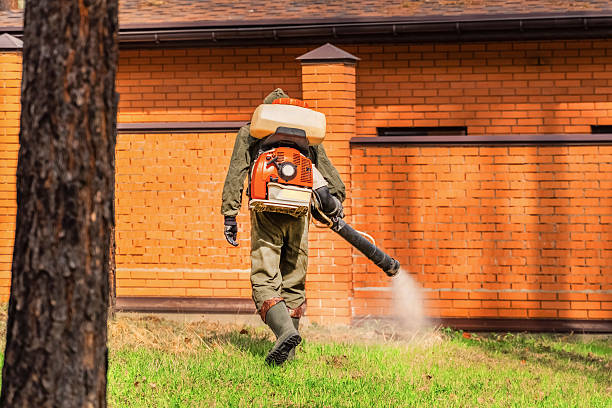 Bed Bug Clearance Verification and Documentation in Coleman